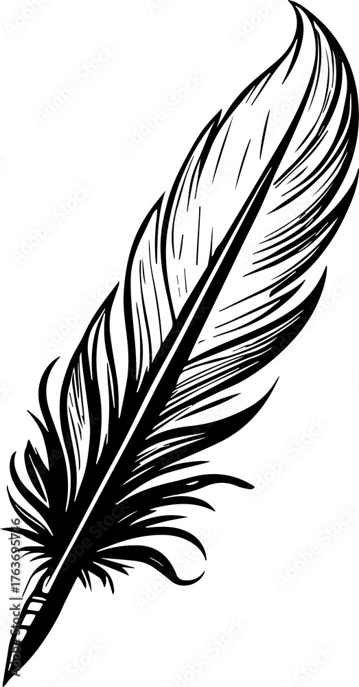 Obraz premium Elegant Feather Silhouette Simple Black Vector Illustration for Logo and Branding