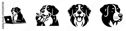 Bernese Mountain Dog Illustrations: A Collection of Canine Art.