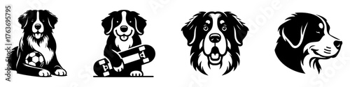 Bernese Mountain Dog Illustrations: Playful Poses and Portraits.