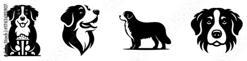 Bernese Mountain Dog Illustrations: A Collection of Canine Art.