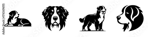 Bernese Mountain Dog Illustrations: A Collection of Black and White Designs.