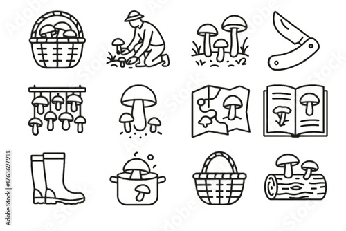 Forest icon wicker mushrooms basket guide wild fungi vector map mushroom