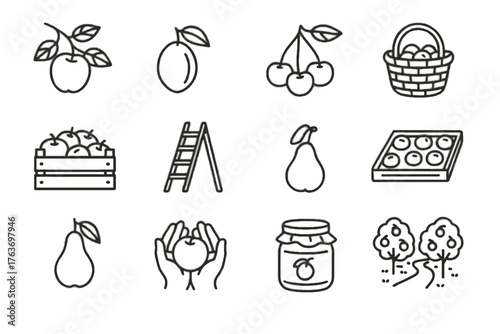 Tree icons basket fruit wooden icon cherry jam drying wild apple vector