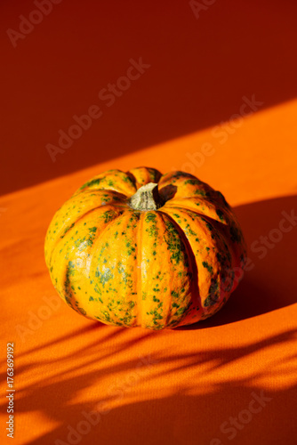 Pumpkin on a orange background, hard light. Autumn composition for Thanksgiving Day, still life background. Vertical orientation.