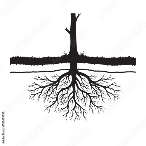 Monochrome Vector Tree with Extensive Root System and Soil Layers