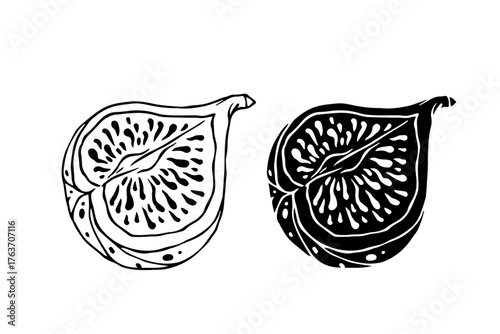 Sketch, fig fruit silhouette.
Vector graphics.
