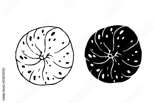 Sketch, fig fruit silhouette.
Vector graphics.