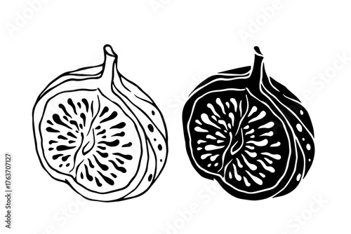 Sketch, fig fruit silhouette.
Vector graphics.
