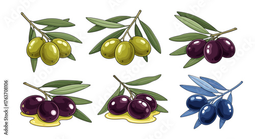 Olive Branches Assortment: Green, Purple, Blue Olives Collection in Watercolor Style, Illustrative, Italian, Mediterranean Cuisine Elements for Culinary Concepts, Ingredient Presentations, Gourmet Rec