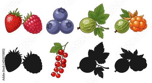 Assortment of Summer Berries with Shadows Illustrating Natural Sweet Fruits for Healthy Eating and Delicious Treats, Isolated on White Background for Food Illustration, Recipe Elements, Nutrition Guid