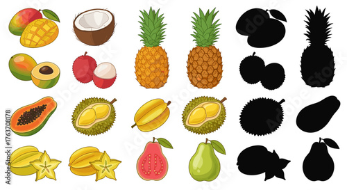 Exotic Tropical Fruits Collection: Delicious Assortment of Mango, Coconut, Pineapple, Lychee, Durian, Papaya, Starfruit, Guava and Pear Still Life, Aromatic Flavorful Freshness for Nutrition Education