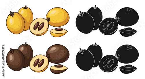 Exotic Sapodilla Fruit Still Life: Two Whole Fruits, One Halved, and a Single Slice Depicting Freshness on White Background for Healthy Lifestyle, Food Illustration,  Culinary Art, Ingredient Guide, T