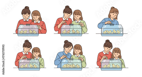 Mother and Daughter Feeding Chicks in Incubator: Nurturing Growth, Learning Together at Home, Observing Nature's Miracle, Family Bonding Time, Children's Education,  Pet Care,  Science Project,  Warm