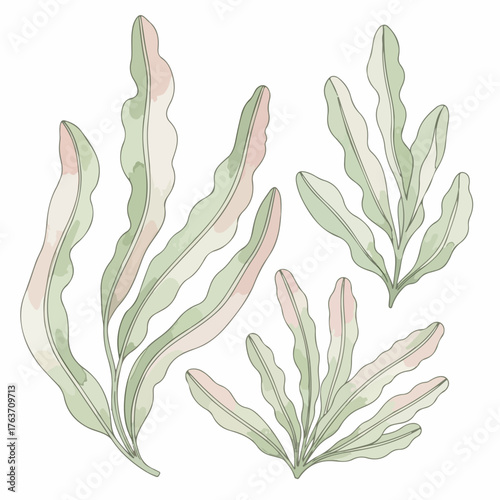 Seaweed composition in watercolor style, delicate seaweed, hand drawn with care, is a marine treasure. Seaweed, in its artistic form, brings ocean's beauty, celebrating its organic nature.