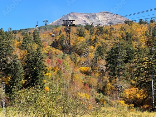 北海道　旭岳　紅葉