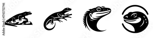 Lizard Silhouettes: A Collection of Reptilian Designs.