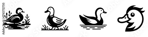 Duck Illustrations: A Collection of Black and White Duck Designs.