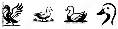 Duck illustrations in various poses black and white simple designs.