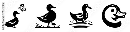 Duck Illustrations: A Collection of Playful Waterfowl Designs.