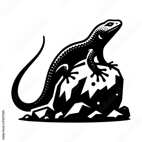 Lizard on Rock: A Detailed Black and White Illustration.
