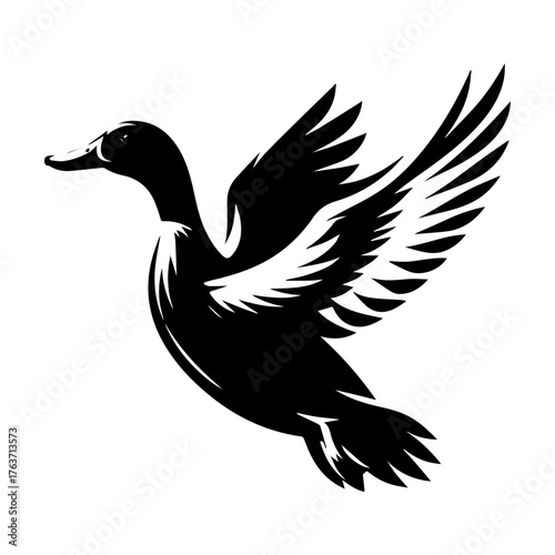 Flying duck silhouette in black and white isolated on white background.
