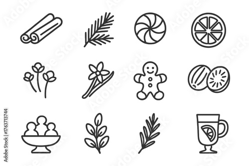 Festive candy clove vector glass scents winter icon pine peppermint sprig pod