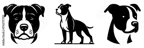 American Pit Bull Terrier Silhouettes: A Trio of Canine Portraits.