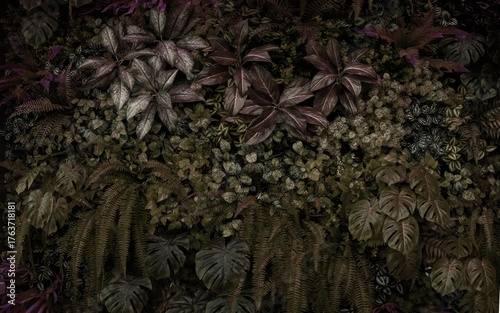 Leaves in the park concept dark green black background image(PHOTO)	