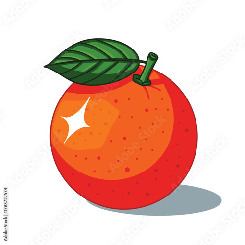 Clean orange fruit vector illustration design