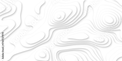 3d render papercut background. topographic map relief with curve layers and shadow. realistic papercut decoration textured with seamless wavy layers. topographic contour lines vector map.