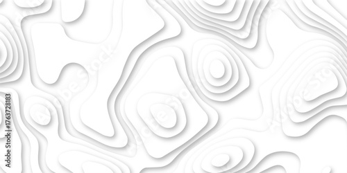 3d render papercut background. topographic map relief with curve layers and shadow. realistic papercut decoration textured with seamless wavy layers. topographic contour lines vector map.