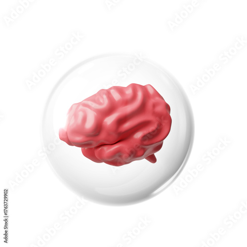 3D realistic human brain in protective sphere, vector medical treatment, prevention, cerebrum internal organ health care