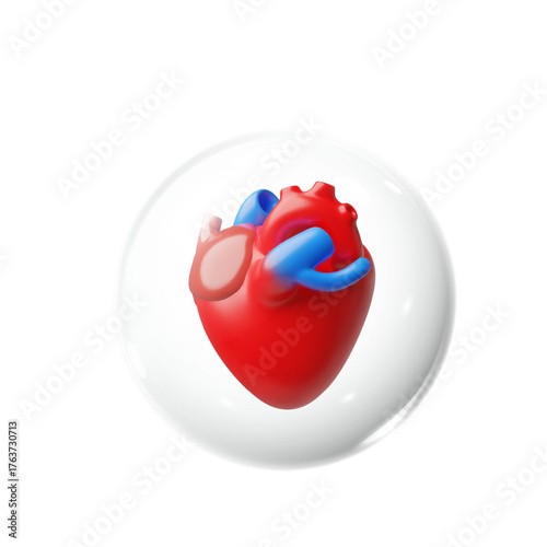 3D realistic model of human heart in protective sphere, vector medical treatment, diagnostics and prevention health care
