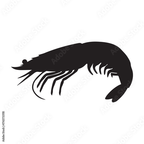 a shrimp prawn seafood crustacean animal illustration on white background