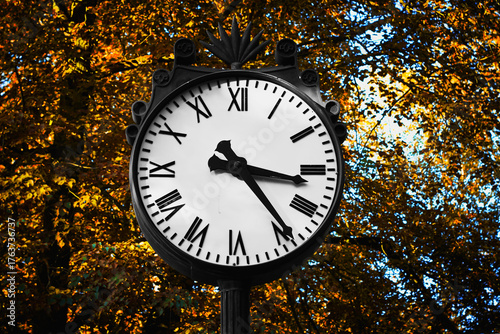 Vintage pocket watch lies on dry yellow leaf and green grass background in autumn fall on ground with sun light. Past time concept, Space for text, Selective focus.