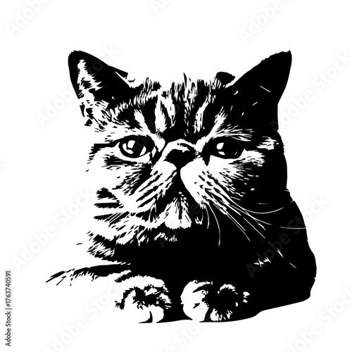 Action-Portrait of a Cat, Domestic Animal, Indoor Setting, Illustration, Artistic Environment, Close-Up View, Pet Concept