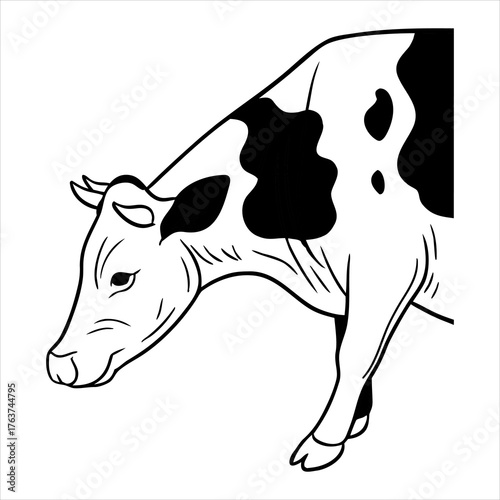 cow vector