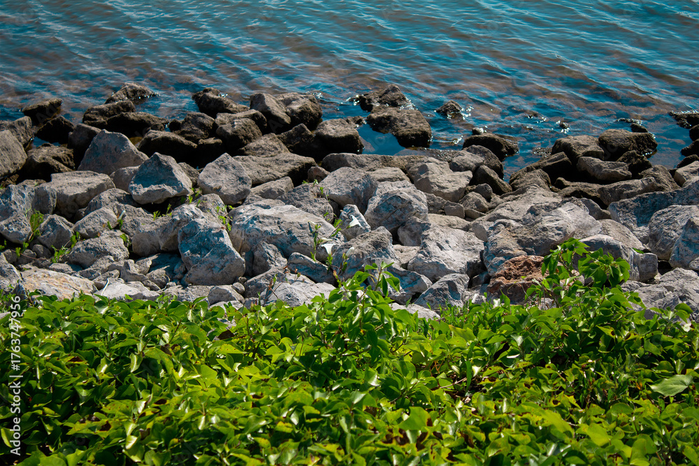 Fototapeta premium nature by the water