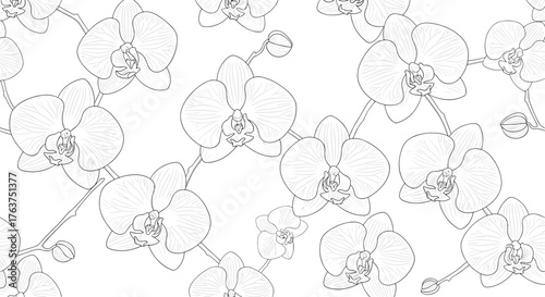 Orchid flower pattern, elegant floral design, white background.