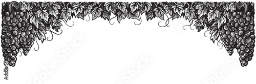 Grapes vineyard, grapevine black and white vector illustration. Set of sketch style vine branches leaves. Wine labels design, branding border hand drawn decorative.