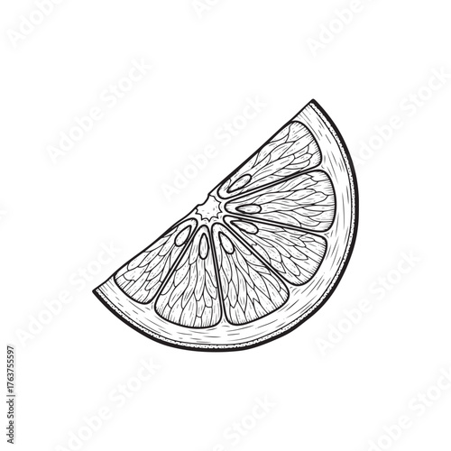 A detailed black and white line drawing of a single, juicy citrus fruit slice, showcasing its segmented interior and textured rind against a clean white background.