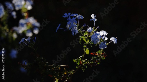 abstract background with flowers