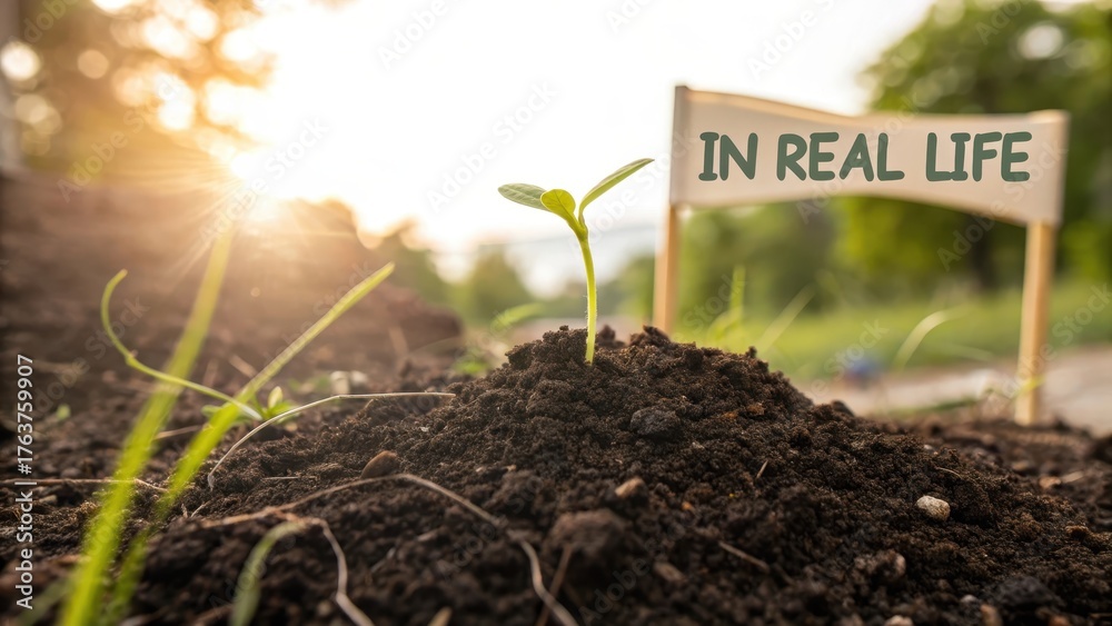 Fototapeta premium A small green sprout emerging from a pile of fertile soil