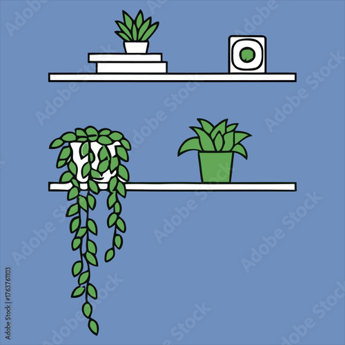 Potted plants on shelves against blue background .