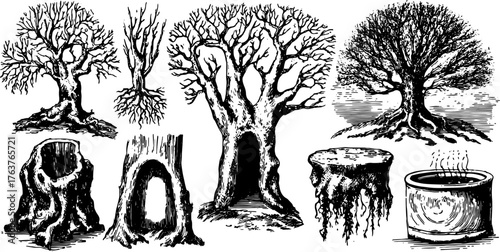 Engraved tree silhouettes with roots and bark details. Vintage illustrations showcasing various tree configurations in a black outline vector set.