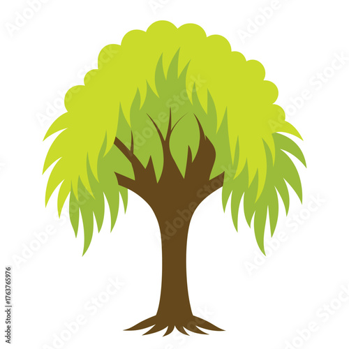  A willow tree vector Illustration