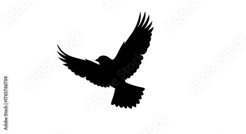Silhouette of a soaring bird against a clean white background, embodying freedom and aspiration,