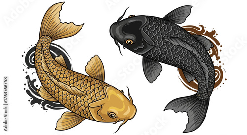 Elegant Koi Carp Duo: A Study in Contrast and Harmony Depicting Balance and Fluidity