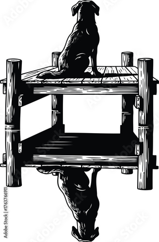 Black dog sitting on a wooden platform with reflection below