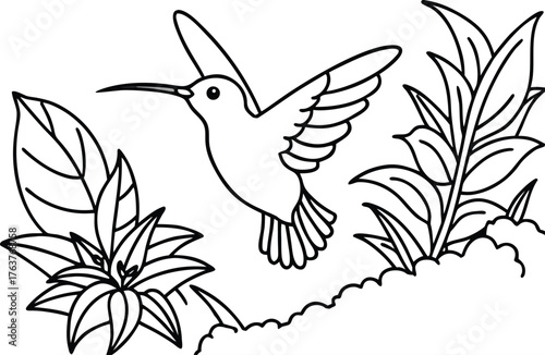 Simple outline drawing of a hummingbird hovering near lush green leaves and plants